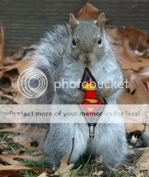 supersquirrel.jpg