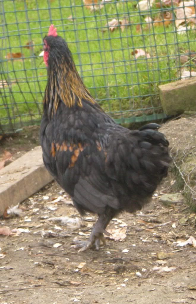 DSCN5817.jpg