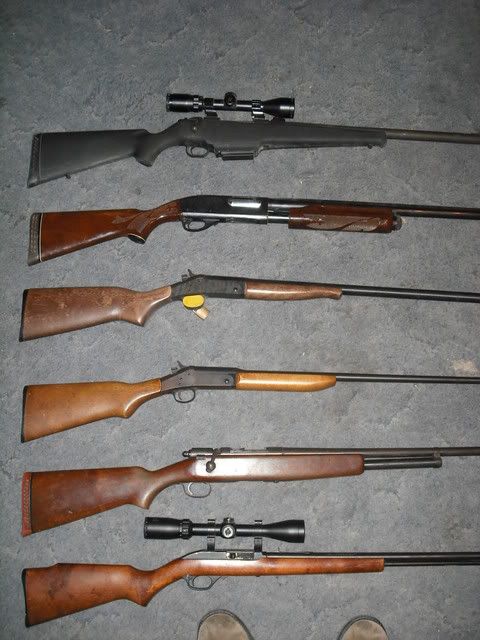 guns005.jpg