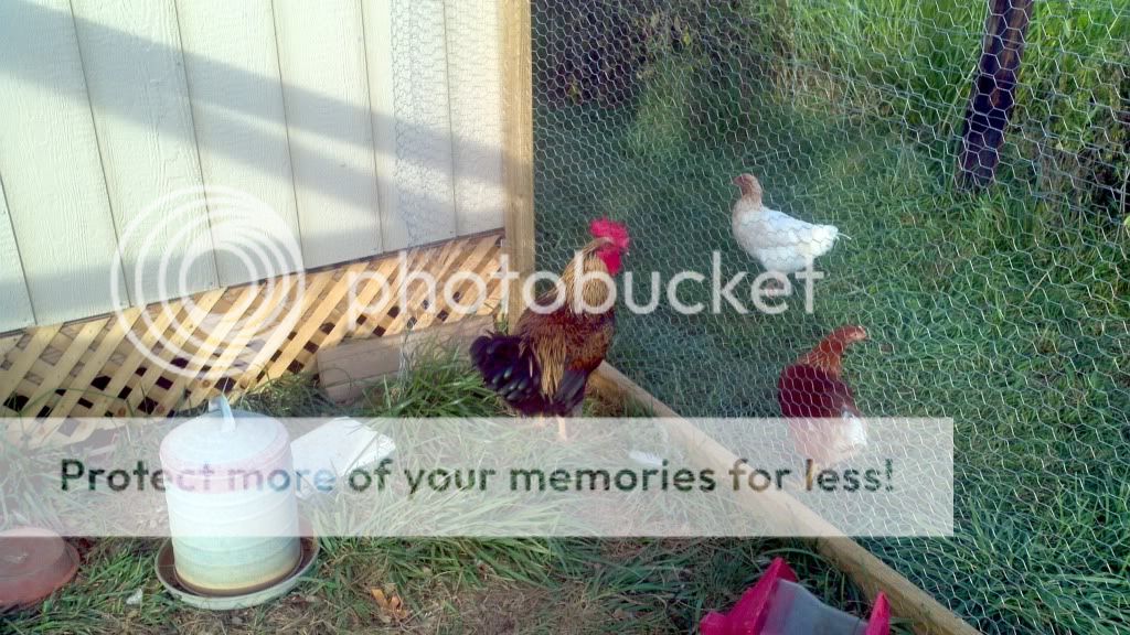 2011-08-23_18-58-16_768.jpg
