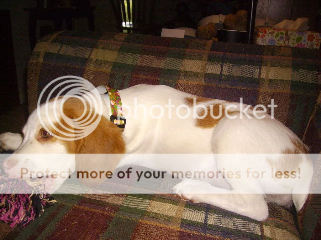 SANY2239.jpg