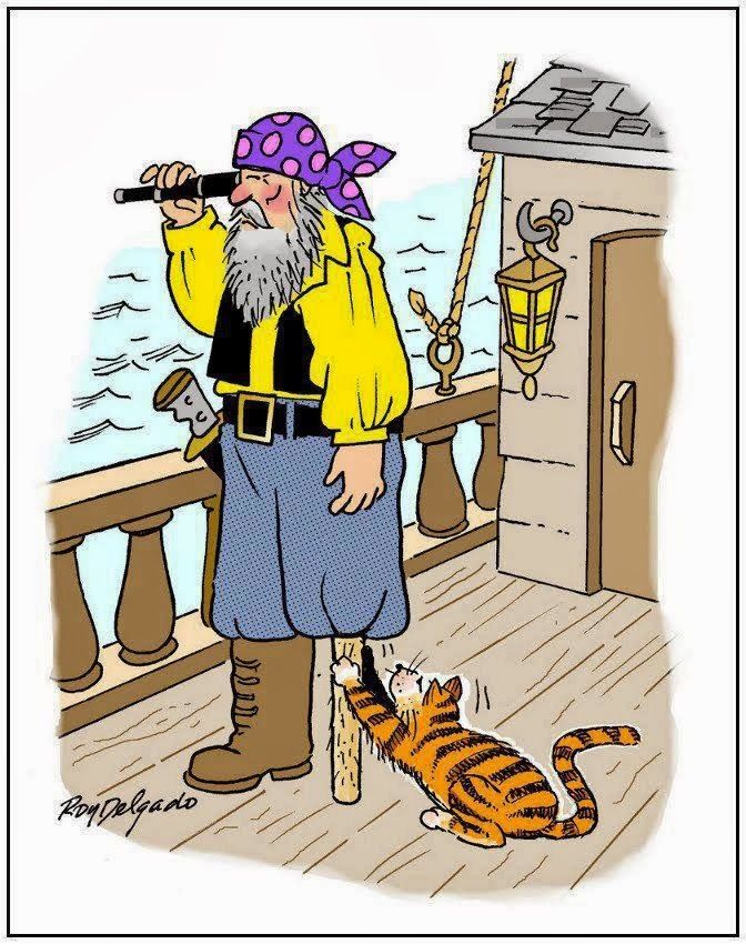 efd98b70dd91d98f91d9b73f2e499a33--funny-cat-jokes-funny-cats.jpg
