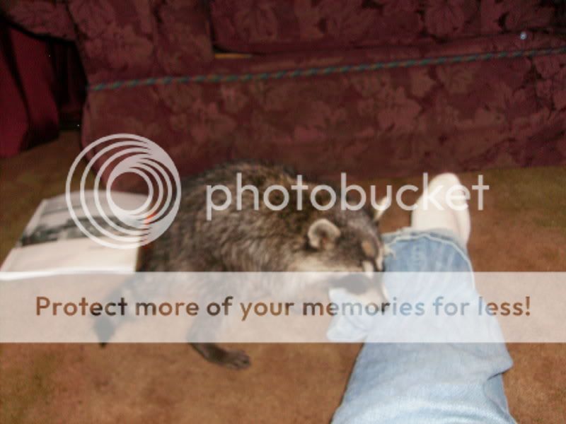 Pictures004.jpg