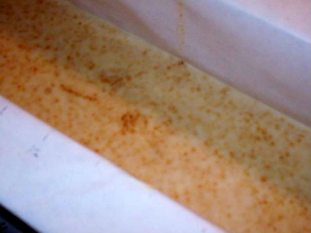 100_0392.jpg