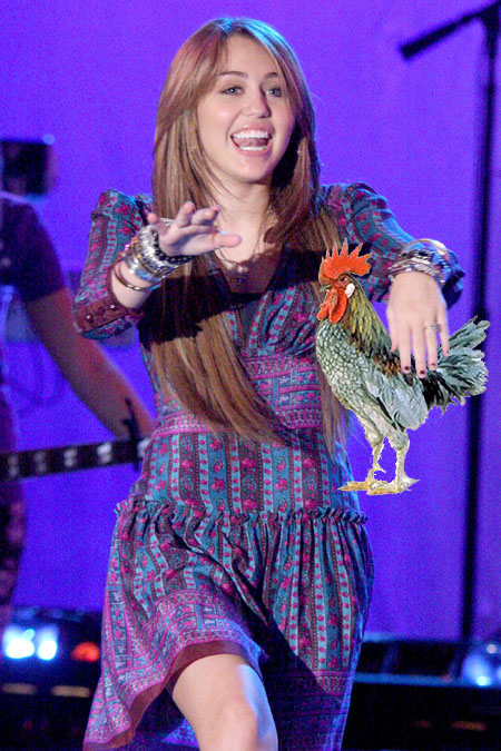 mileychicken.jpg