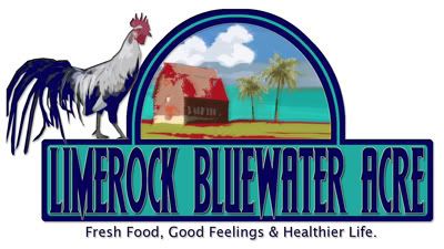 LimerockBluewater-Logo.jpg