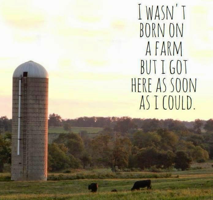 farm.jpg