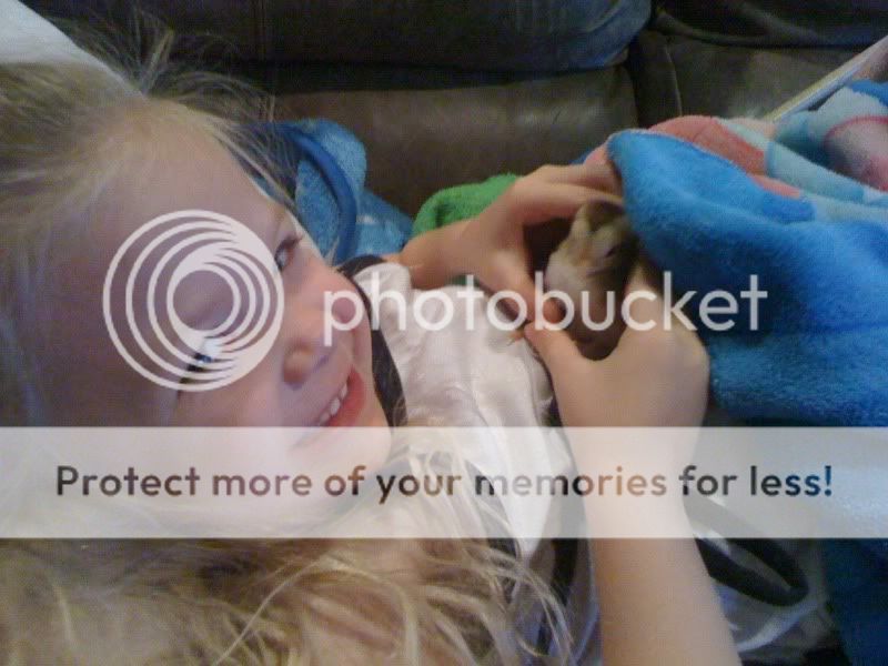 photo.jpg