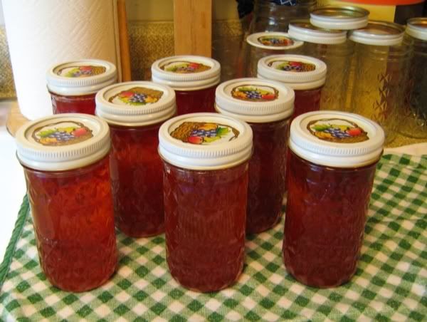 XPBBlog_JellyXLg_1Aug07.jpg
