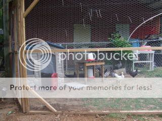 DSCF1648.jpg