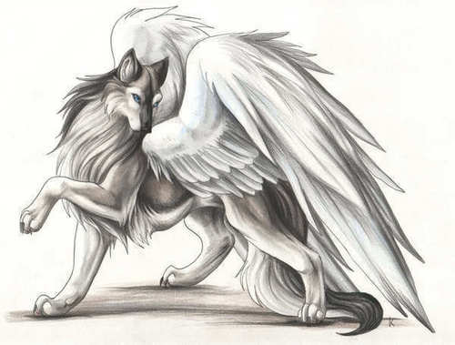 Winged-Wolves-winged-wolves-16237141-500-379.jpg