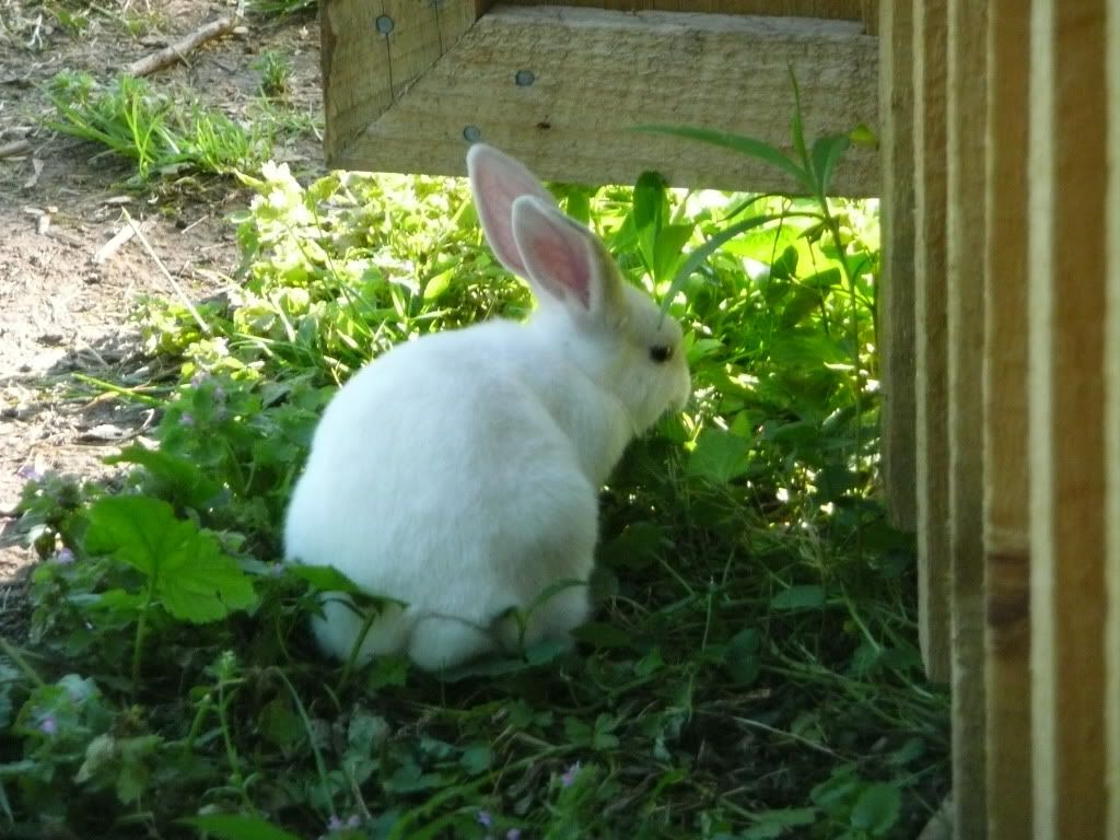 Picture021.jpg