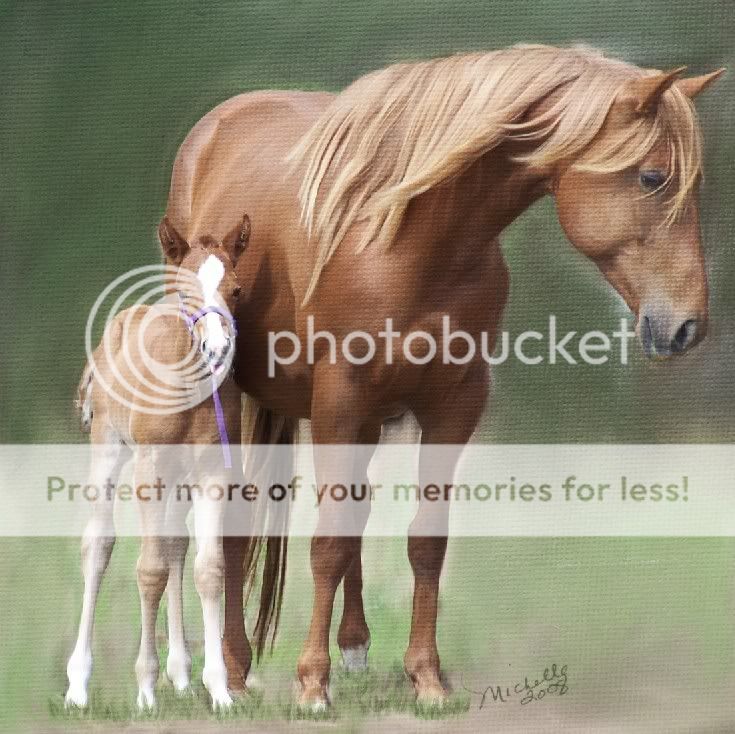 Mare3dayfilly.jpg