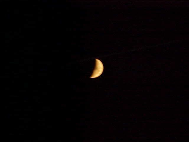 SmokeColoredMoon7-8-08.jpg