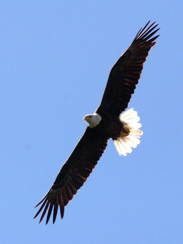 3250626381_40435b807c.jpg