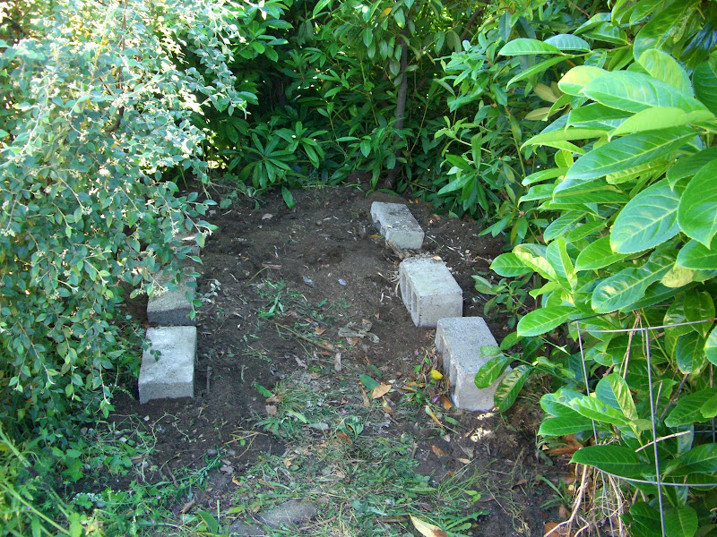 CIMG9955.JPG