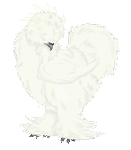 silkie_rooster_by_jasper899-d46uypc.jpg