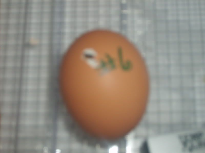 SD530080.jpg