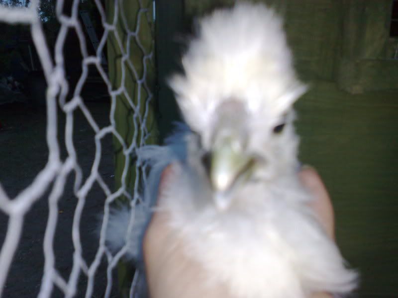 13052008832.jpg