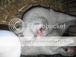 IMG_1137.jpg
