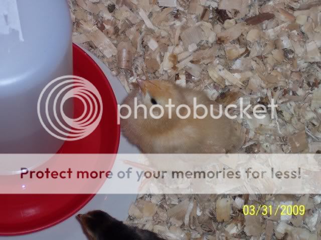 100_1256.jpg