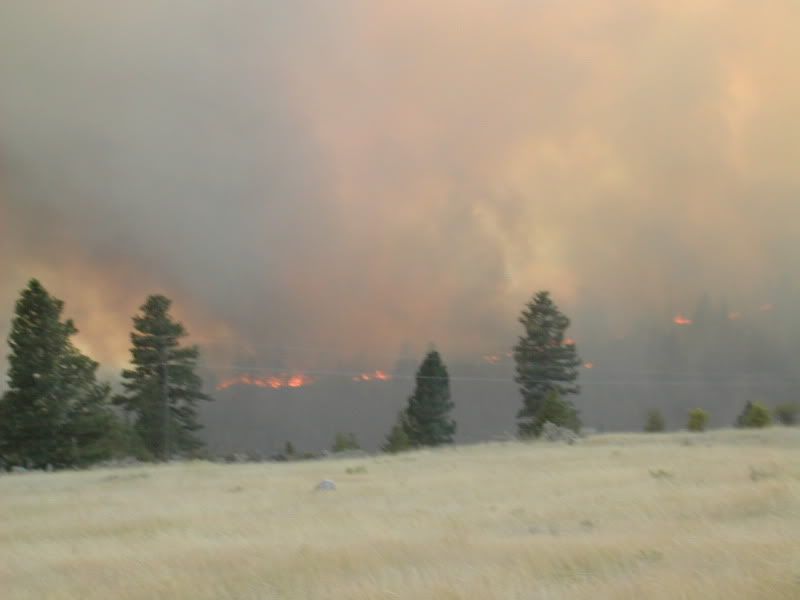 DSCN3506.jpg