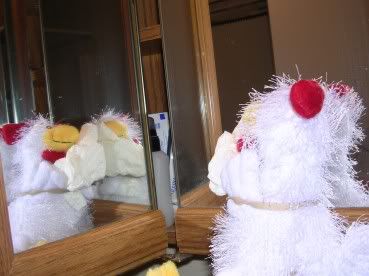 mirror.jpg