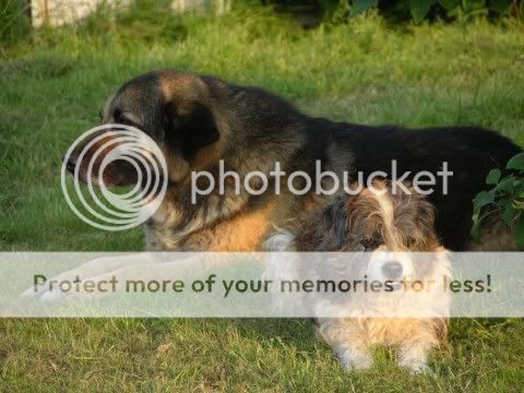 bonnieduke.jpg