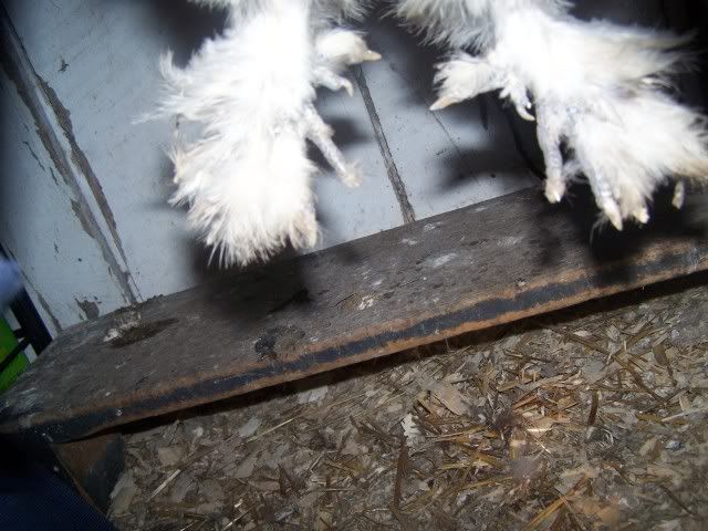 100_4817.jpg