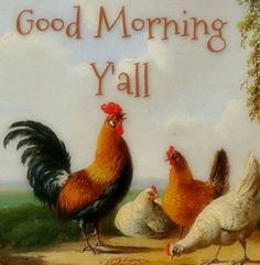 84c5619a3d7b24940a4dbb445e1e59f8.jpg