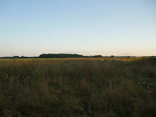 148.JPG