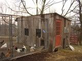 DSC00642.jpg