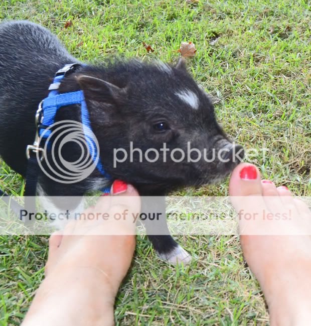 Lunaandmyfeet.jpg
