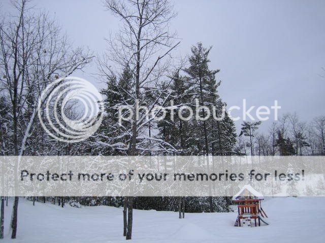 winter004.jpg