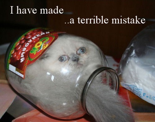 tumblr_m7xvhdT5Z81r3zypyo1_500.jpg