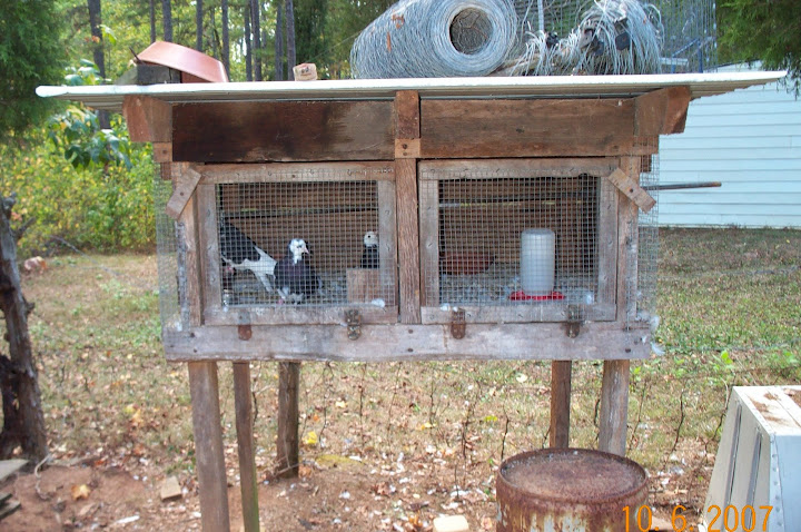 pigeon%20lofts%20002.jpg