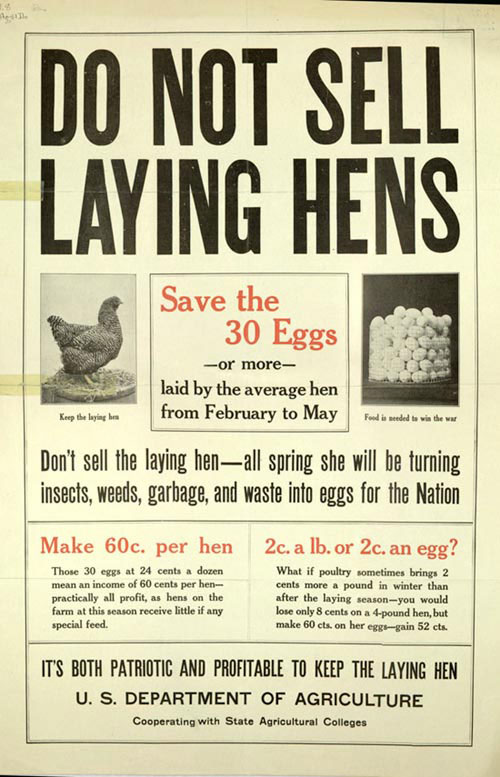 hens.jpg