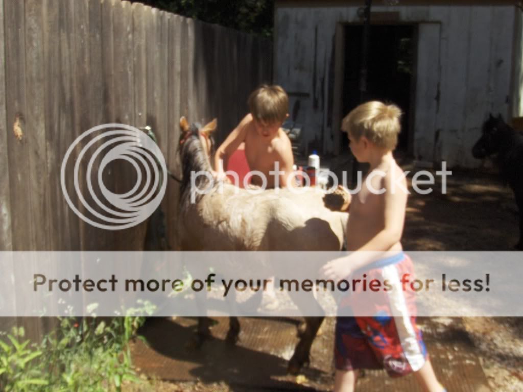 bathtime002.jpg