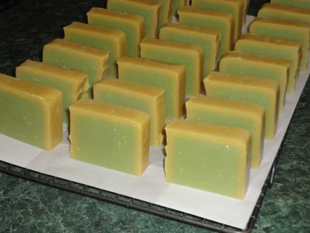 10-20-11DogShampooBarscutup.jpg