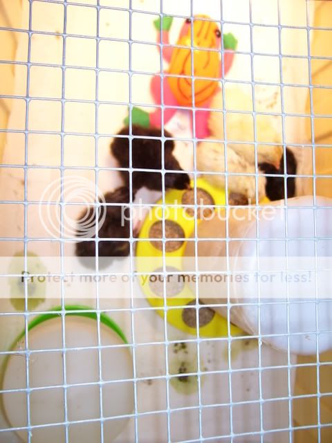Picture029.jpg