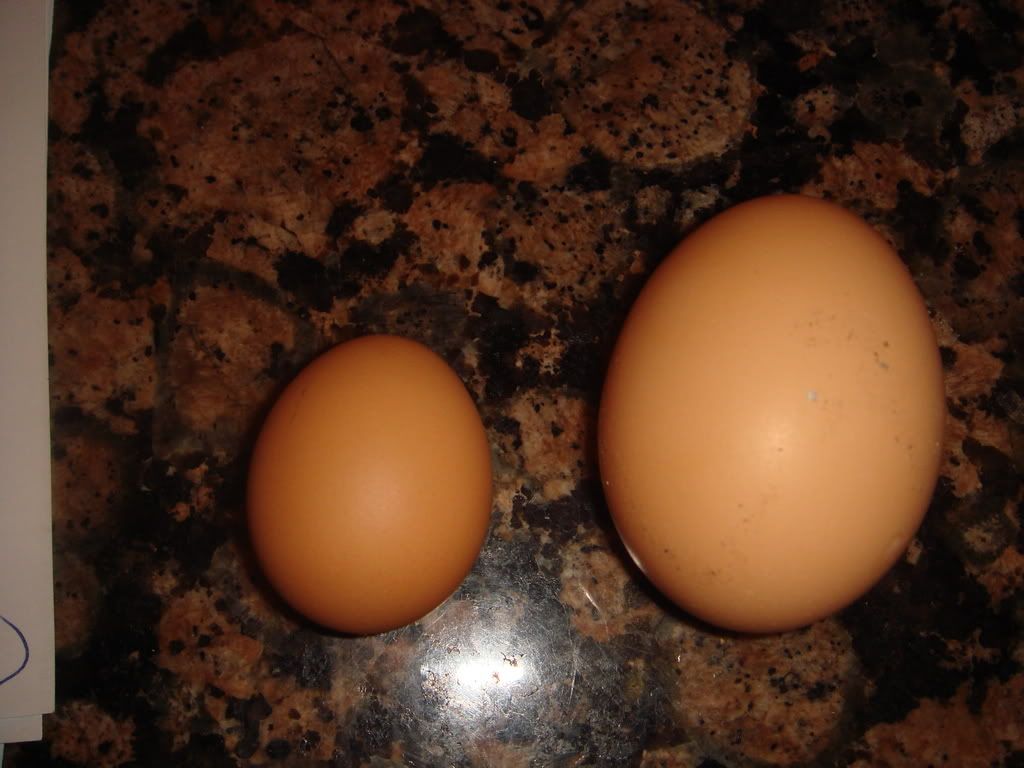 DSC04059.jpg