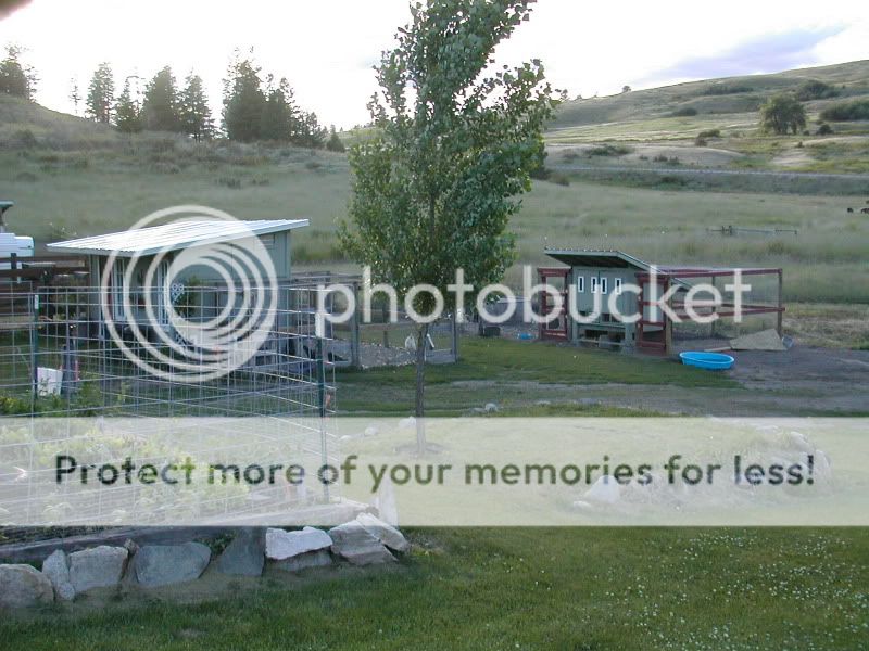 DSCN5356.jpg