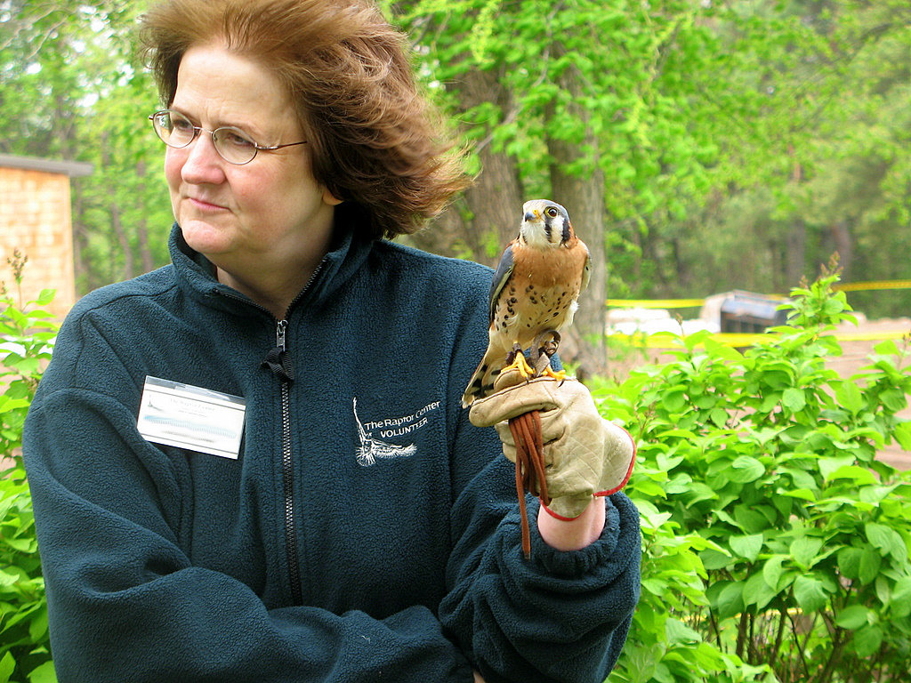 cnc_american_kestrel_hawk.jpg