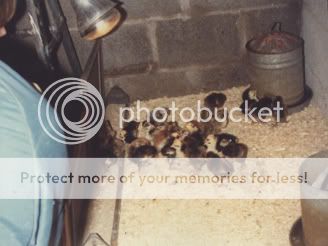 12-27-2008-17-14-38-500.jpg