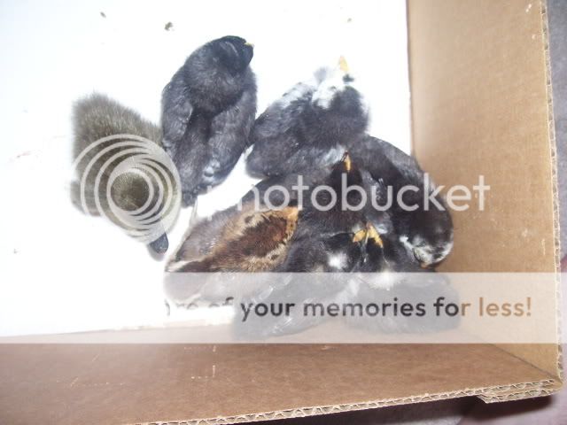 100_2570.jpg