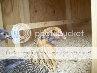 100_0765.jpg
