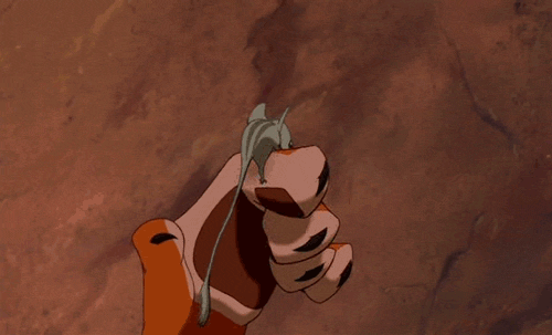 tumblr_lfmeqgwVIL1qe8jnyo1_500.gif