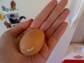 egg1.jpg