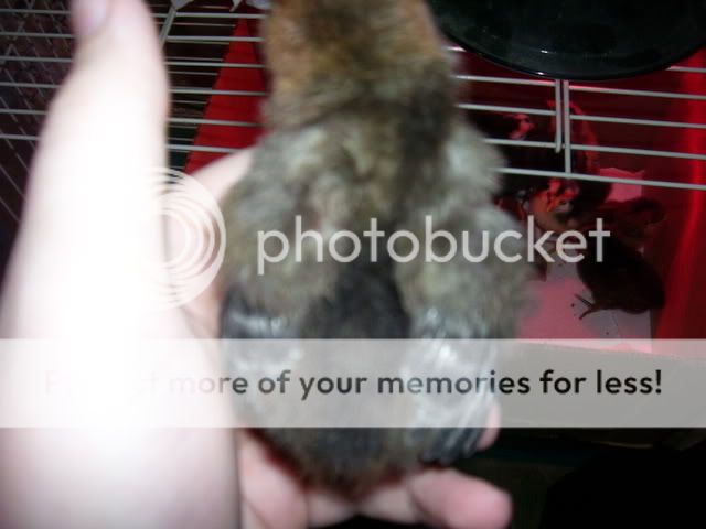 100_2509.jpg