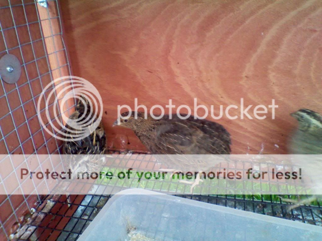 2011-05-14112329.jpg
